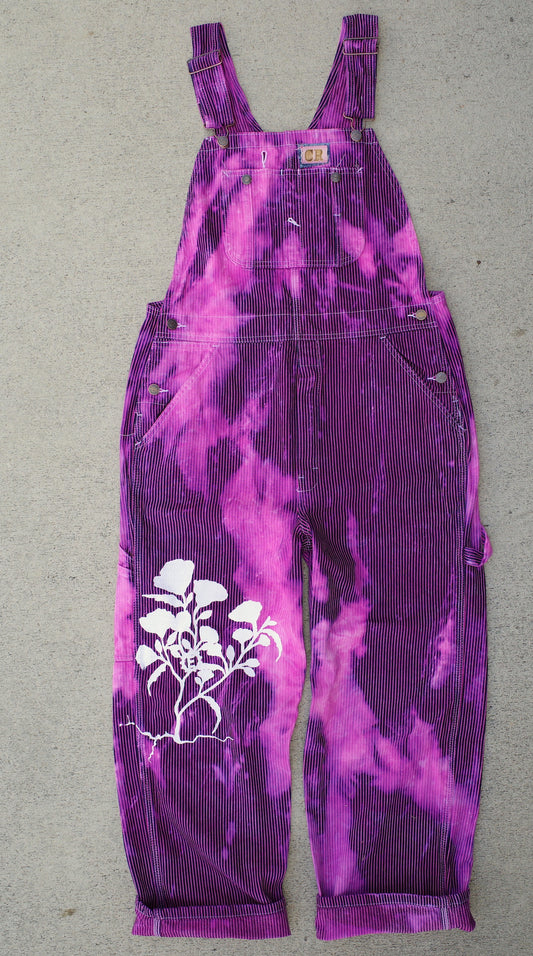 Foolish fuchsia / Custom coverall 34x30