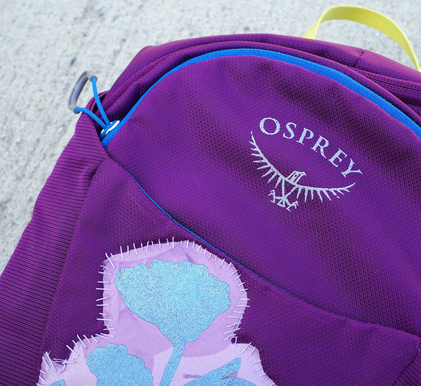 Osprey / Patched hydration bag